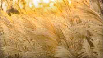 CSS 深度解析：从原理到实战，构建高性能前端应用