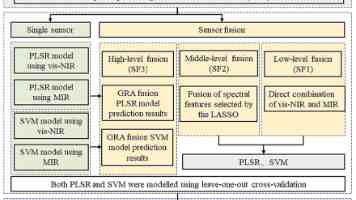 YOLOv11 模型部署优化：从 PyTorch 到 NCNN 的高效转换实战