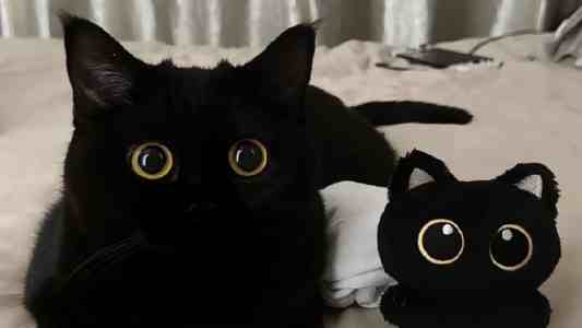 Beetle RP2350 雷达模块 CEM5861G-M11 深度开发实战：避坑指南与性能优化