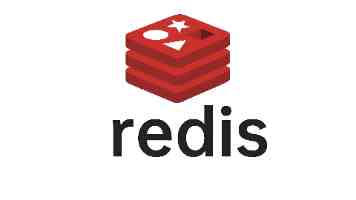 量子迁移学习：架构师深度剖析与实战避坑指南