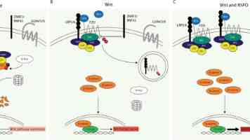 攻克 VCL 测试环境：ICT 数字测试原理 7 深度实践与避坑指南