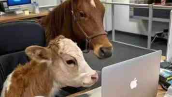 STM32 CAN通信疑难杂症：TJA1050波特率与USB扩展坞供电的双重挑战