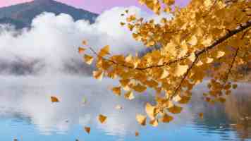 微服务 Gateway 统一 JWT 认证：架构实践与避坑指南