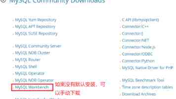 OSPF 网络 LSA (Type 2) 深度解析与疑难解答