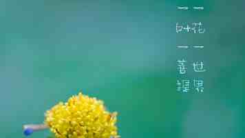 手撸 C++ List：从零开始模拟 STL 列表实现与性能优化