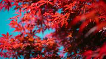 Java进阶：搞懂这四大排序算法，面试Offer稳了！