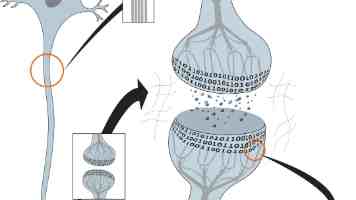 深度解析：Android 系统编译中的 mk 文件和 bp 文件
