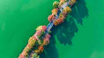 数造科技闪耀全球数据管理峰会：解锁数据治理新范式