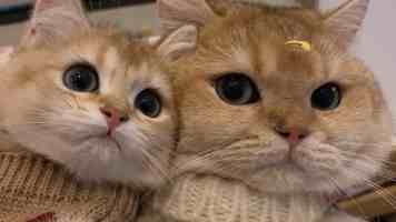 洞悉技术趋势：GitHub 热榜项目(2025-09-30)深度解读与实战应用