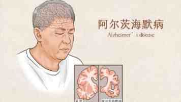 Odoo 前端控制器深度解析：打造无缝用户体验